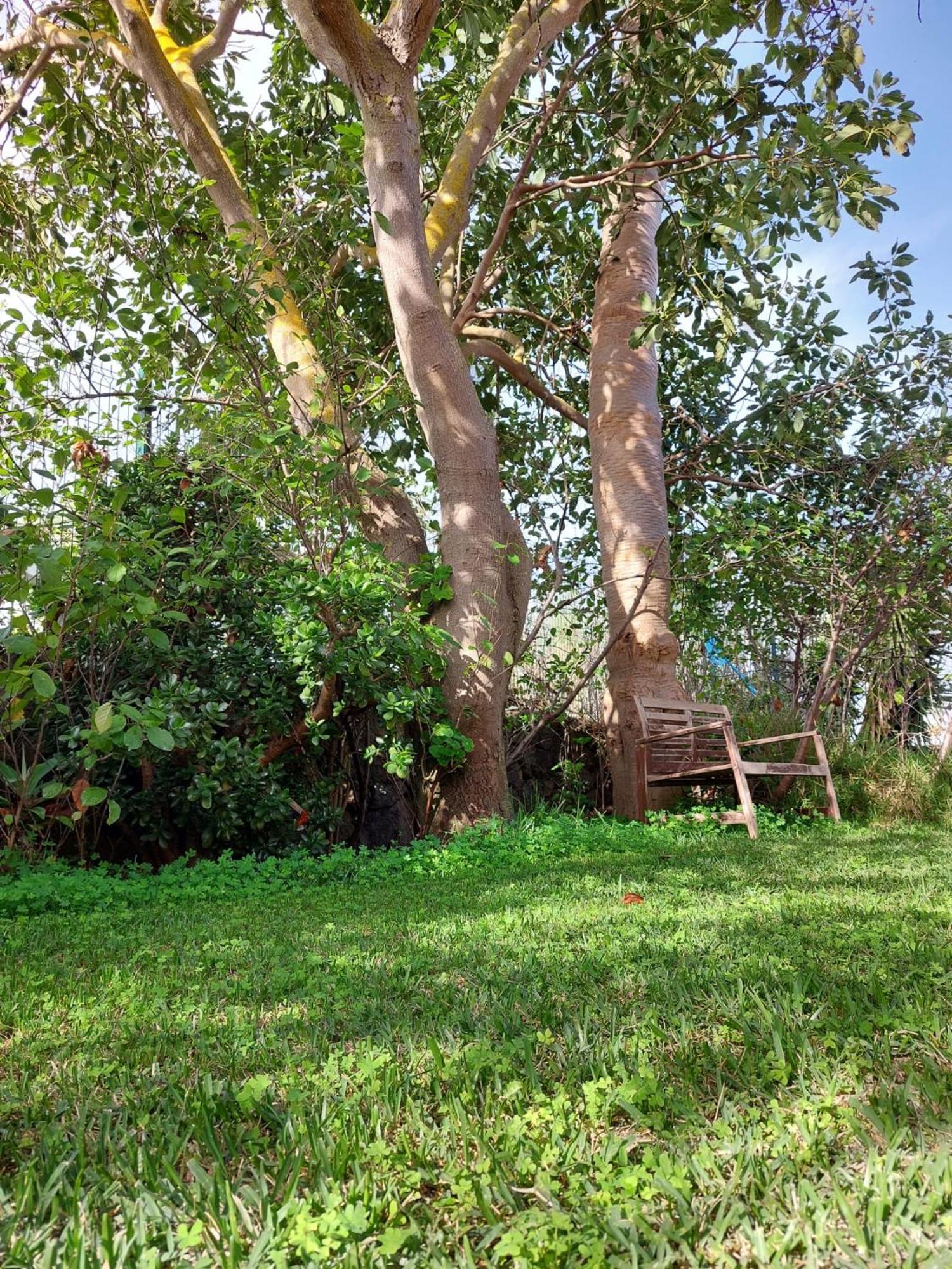 Casa Rural Dona Herminda La Matanza De Acentejo Ngoại thất bức ảnh
