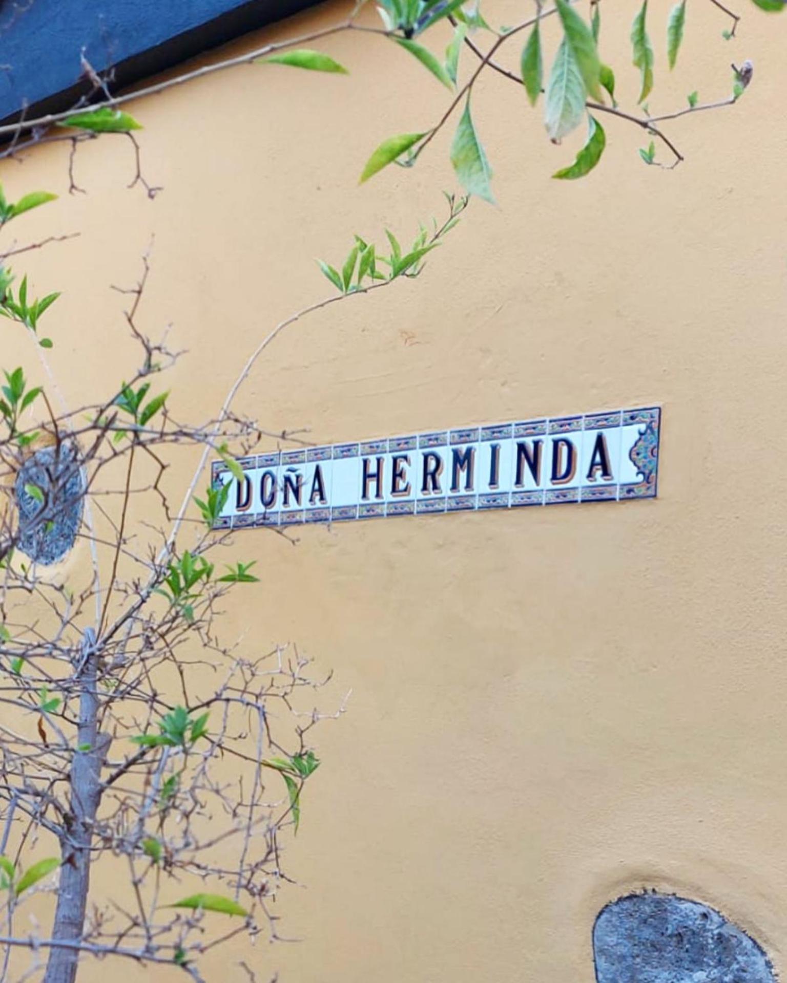 Casa Rural Dona Herminda La Matanza De Acentejo Ngoại thất bức ảnh